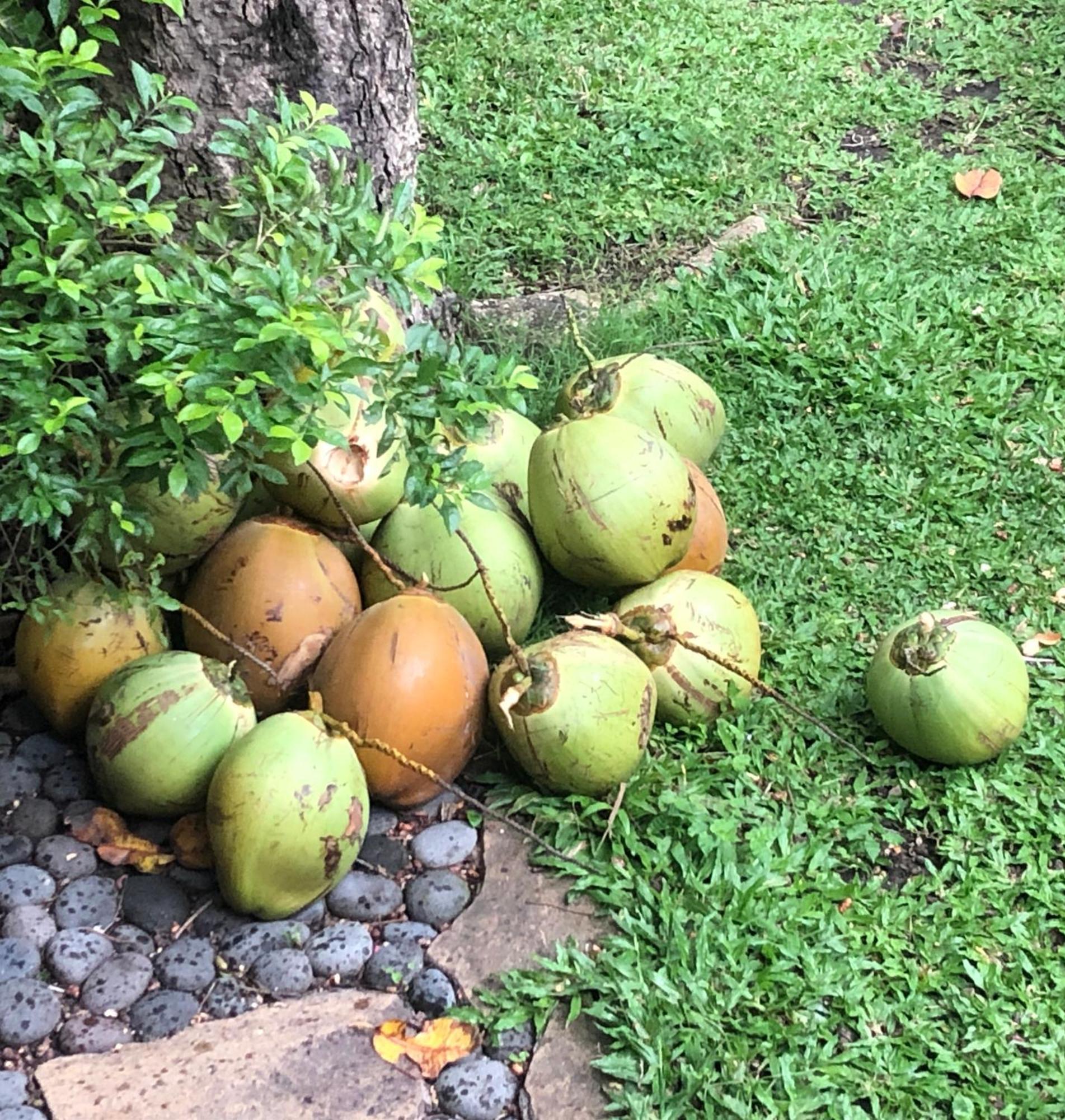 Hidden Heaven Rumah Barong Jasri Ngoại thất bức ảnh